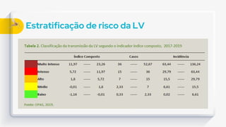 Estratificação de risco da LV
 