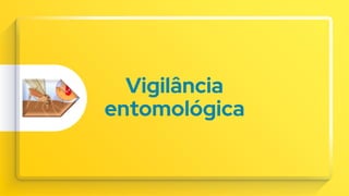 Vigilância
entomológica
 