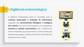 Vigilância entomológica
 A vigilância entomológica pode ser entendida como a
contínua observação e avaliação de informações
originadas das características biológicas e ecológicas
dos vetores, nos níveis das interações com hospedeiros,
humanos e animais reservatórios, sob a influência de
fatores ambientais, que proporcionem o conhecimento para
detecção de qualquer mudança no perfil de transmissão das
doenças (Gomes, 2002).
 