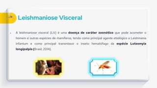 Leishmaniose Visceral
 A leishmaniose visceral (LV) é uma doença de caráter zoonótico que pode acometer o
homem e outras espécies de mamíferos, tendo como principal agente etiológico a Leishmania
infantum e como principal transmissor o inseto hematófago da espécie Lutzomyia
longipalpis (Brasil, 2014).
 