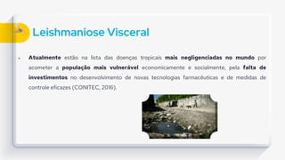 Leishmaniose Visceral
 Atualmente estão na lista das doenças tropicais mais negligenciadas no mundo por
acometer a população mais vulnerável economicamente e socialmente, pela falta de
investimentos no desenvolvimento de novas tecnologias farmacêuticas e de medidas de
controle eficazes (CONITEC, 2016).
 