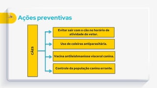Ações preventivas
CÃES
Evitar sair com o cão no horário de
atividade do vetor.
Uso de coleiras antiparasitária.
Vacina antileishmaniose visceral canina.
Controle da população canina errante.
 