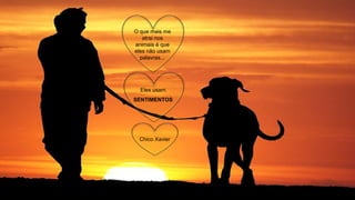 O que mais me
atrai nos
animais é que
eles não usam
palavras...
Eles usam
SENTIMENTOS
Chico Xavier
 