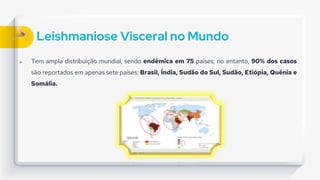 Leishmaniose Visceral no Mundo
 Tem ampla distribuição mundial, sendo endêmica em 75 países; no entanto, 90% dos casos
são reportados em apenas sete países: Brasil, Índia, Sudão do Sul, Sudão, Etiópia, Quênia e
Somália.
 
