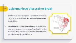 Leishmaniose Visceral no Brasil
 O Brasil é um dos quatro países com o maior número de
casos de LV, representando 14% dos casos globais e 97%
das Américas.
 A letalidade de LV no Brasil é crescente e considerada a
maior entre os países prioritários da Organização Mundial
da Saúde (OMS), destacando-se a região Nordeste, com
tendência crescente mais acentuada.
 
