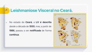 Leishmaniose Visceral no Ceará.
 No estado do Ceará, a LV é descrita
desde a década de 1930, mas, a partir de
1986, passou a ser notificada de forma
contínua.
 