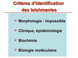 Critères d’Identification
Critères d’Identification
des leishmanies
des leishmanies
 Morphologie : impossible
 Clinique, épidémiologie
 Biochimie
 Biologie moléculaire
 