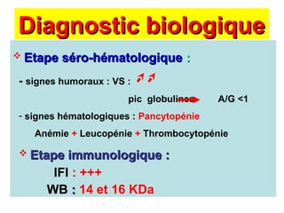 Diagnostic biologique
Diagnostic biologique
 Etape séro-hématologique
Etape séro-hématologique :
:
- signes humoraux : VS :
pic globulines A/G <1
- signes hématologiques : Pancytopénie
Anémie + Leucopénie + Thrombocytopénie
 Etape immunologique :
Etape immunologique :
IFI : +++
WB
WB :
: 14 et 16 KDa
 