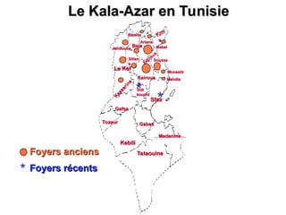 Bizerte
Bizerte
Jandouba
Jandouba
Beja
Beja
Ariana
Ariana
Tuni
Tuni
s
s
Nabel
Nabel
Zaghoua
Zaghoua
n
n
Sousse
Sousse
Silian
Silian
a
a
K
a
s
s
e
r
i
n
e
K
a
s
s
e
r
i
n
e
Kebili
Kebili
Tozeur
Tozeur
Gafsa
Gafsa
Tataouine
Tataouine
Gabes
Gabes
Sfax
Sfax
Kairoua
Kairoua
n
n
Le Kef
Le Kef
Mahdia
Mahdia
Monastir
Monastir
Medenine
Medenine
Sidi
Sidi
bouzid
bouzid
*
*
Le Kala-Azar en Tunisie
Le Kala-Azar en Tunisie
*
Foyers anciens
Foyers anciens
Foyers récents
Foyers récents
 