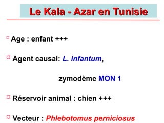  Age : enfant +++
 Agent causal: L. infantum,
zymodème MON 1
 Réservoir animal : chien +++
 Vecteur : Phlebotomus perniciosus
Le Kala - Azar en Tunisie
Le Kala - Azar en Tunisie
 