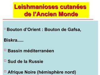 Leishmanioses cutanées
Leishmanioses cutanées
de l’Ancien Monde
de l’Ancien Monde
 Bouton d’Orient : Bouton de Gafsa,
Biskra.....
 Bassin méditerranéen
 Sud de la Russie
 Afrique Noire (hémisphère nord)
 