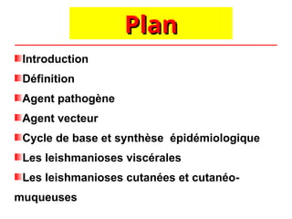 Plan
Plan
Introduction
Définition
Agent pathogène
Agent vecteur
Cycle de base et synthèse épidémiologique
Les leishmanioses viscérales
Les leishmanioses cutanées et cutanéo-
muqueuses
 