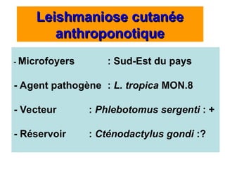 Leishmaniose cutanée
Leishmaniose cutanée
anthroponotique
anthroponotique
- Microfoyers : Sud-Est du pays
- Agent pathogène : L. tropica MON.8
- Vecteur : Phlebotomus sergenti : +
- Réservoir : Cténodactylus gondi :?
 