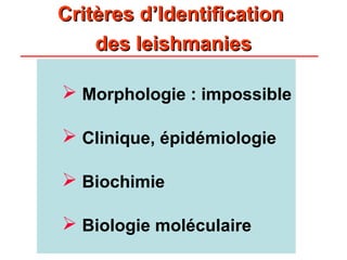 Critères d’Identification
    des leishmanies

 Morphologie : impossible

 Clinique, épidémiologie

 Biochimie

 Biologie moléculaire
 