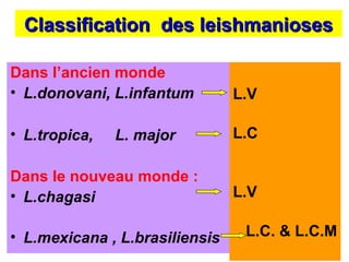 Classification des leishmanioses

Dans l’ancien monde
• L.donovani, L.infantum        L.V

• L.tropica,   L. major         L.C

Dans le nouveau monde :
• L.chagasi                     L.V

• L.mexicana , L.brasiliensis    L.C. & L.C.M
 