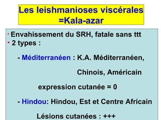 Les leishmanioses viscérales
            =Kala-azar
• Envahissement   du SRH, fatale sans ttt
• 2 types :

   - Méditerranéen : K.A. Méditerranéen,

                     Chinois, Américain

          expression cutanée = 0

   - Hindou: Hindou, Est et Centre Africain

         Lésions cutanées : +++
 