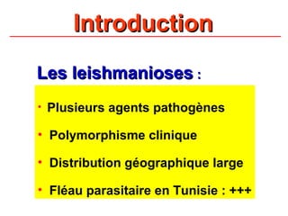 Introduction
Les leishmanioses :
•   Plusieurs agents pathogènes

• Polymorphisme clinique

• Distribution géographique large

• Fléau parasitaire en Tunisie : +++
 
