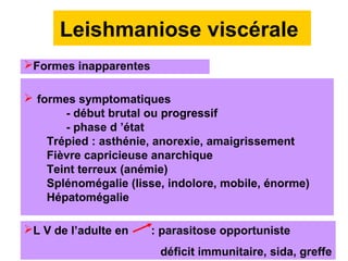 Leishmaniose viscérale
Formes inapparentes

 formes symptomatiques
       - début brutal ou progressif
       - phase d ’état
    Trépied : asthénie, anorexie, amaigrissement
    Fièvre capricieuse anarchique
    Teint terreux (anémie)
    Splénomégalie (lisse, indolore, mobile, énorme)
    Hépatomégalie

L V de l’adulte en    : parasitose opportuniste
                        déficit immunitaire, sida, greffe
 