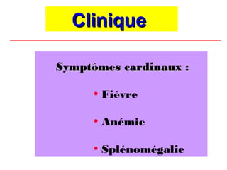 Clinique

Symptômes cardinaux :

     • Fièvre

     • Anémie

     • Splénomégalie
 