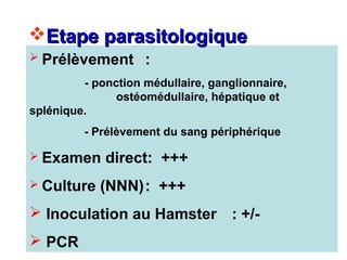 Etape parasitologique
 Prélèvement       :
         - ponction médullaire, ganglionnaire,
               ostéomédullaire, hépatique et
splénique.
         - Prélèvement du sang périphérique

 Examen     direct: +++
 Culture   (NNN): +++
 Inoculation au Hamster : +/-
 PCR
 