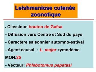 Leishmaniose cutanée
            zoonotique

-   Classique bouton de Gafsa
- Diffusion vers Centre et Sud du pays
- Caractère saisonnier automno-estival
- Agent causal : L. major zymodème
MON.25
- Vecteur: Phlebotomus papatasi
 