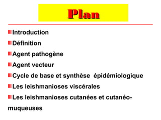 Plan
 Introduction
 Définition
 Agent pathogène
 Agent vecteur
 Cycle de base et synthèse épidémiologique
 Les leishmanioses viscérales
 Les leishmanioses cutanées et cutanéo-
muqueuses
 
