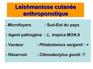 Leishmaniose cutanée
          anthroponotique
-   Microfoyers      : Sud-Est du pays

- Agent pathogène : L. tropica MON.8

- Vecteur         : Phlebotomus sergenti : +

- Réservoir       : Cténodactylus gondi :?
 
