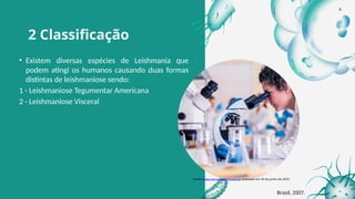 2 Classificação
• Existem diversas espécies de Leishmania que
podem atingi os humanos causando duas formas
distintas de leishmaniose sendo:
1 - Leishmaniose Tegumentar Americana
2 - Leishmaniose Visceral
Fonte: www.canvaimagens.com.br Acessado em 30 de junho de 2025.
Brasil, 2007.
4
 
