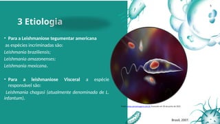 3 Etiologia
• Para a Leishmaniose tegumentar americana
as espécies incriminadas são:
Leishmania braziliensis;
Leishmania amazonenses;
Leishmania mexicana.
• Para a leishmaniose Visceral a espécie
responsável são:
Leishmania chagasi (atualmente denominada de L.
infantum).
Fonte: www.canvaimagens.com.br Acessado em 30 de junho de 2025.
Brasil, 2007.
5
 