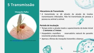 5 Transmissão
Mecanismo de Transmissão
• A transmissão se dá através da picada de insetos
transmissores infectados. Não há transmissão de pessoa a
pessoa ou animal a animal.
Período de Incubação
• Tempo entre a picada inseto e aparecimento da lesão inicial
– 2 semanas a 3 meses
• Hospedeiro mamífero reservatório natural do parasito
raramente produz doença;
• Apenas a fêmea do mosquito transmite a doença.
Mosquito Palha
Fonte: www.googleimagens.com.br Acessado em 30 de junho de 2025.
Brasil, 2007.
7
 