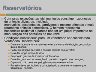  Com raras exceções, as leishmanioses constituem zoonoses
de animais silvestres, incluindo
marsupiais, desdentados, carnívoros e mesmo primatas e mais
raramente animais domésticos. O homem representa
hospedeiro acidental e parece não ter um papel importante na
manutenção dos parasitas na natureza.
 Condições necessárias para um vertebrado ser considerado
Verdadeiro Reservatório:
 Deve ser abundante na natureza e ter a mesma distribuição geográfica
que a doença;
 Poder de atração ao vetor e contato estreito com o vetor;
 Deve ter longo tempo de vida;
 Proporção grande de indivíduos infectados;
 Deve ter grande concentração do parasito na pele ou no sangue;
 O parasito não deve ser patogênico para o reservatório;
 Parasito deve ser isolado e caracterizado e deve ser o mesmo que
parasita o homem.
Reservatórios
 
