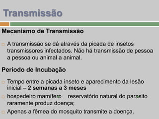 Mecanismo de Transmissão
 A transmissão se dá através da picada de insetos
transmissores infectados. Não há transmissão de pessoa
a pessoa ou animal a animal.
Período de Incubação
 Tempo entre a picada inseto e aparecimento da lesão
inicial – 2 semanas a 3 meses
 hospedeiro mamífero reservatório natural do parasito
raramente produz doença;
 Apenas a fêmea do mosquito transmite a doença.
Transmissão
 