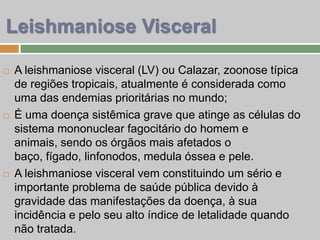 Leishmaniose Visceral
 A leishmaniose visceral (LV) ou Calazar, zoonose típica
de regiões tropicais, atualmente é considerada como
uma das endemias prioritárias no mundo;
 É uma doença sistêmica grave que atinge as células do
sistema mononuclear fagocitário do homem e
animais, sendo os órgãos mais afetados o
baço, fígado, linfonodos, medula óssea e pele.
 A leishmaniose visceral vem constituindo um sério e
importante problema de saúde pública devido à
gravidade das manifestações da doença, à sua
incidência e pelo seu alto índice de letalidade quando
não tratada.
 