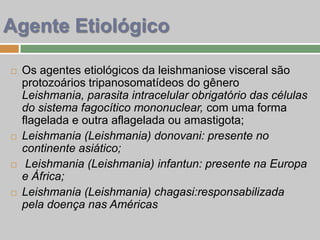 Os agentes etiológicos da leishmaniose visceral são
protozoários tripanosomatídeos do gênero
Leishmania, parasita intracelular obrigatório das células
do sistema fagocítico mononuclear, com uma forma
flagelada e outra aflagelada ou amastigota;
 Leishmania (Leishmania) donovani: presente no
continente asiático;
 Leishmania (Leishmania) infantun: presente na Europa
e África;
 Leishmania (Leishmania) chagasi:responsabilizada
pela doença nas Américas
Agente Etiológico
 