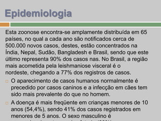 Epidemiologia
Esta zoonose encontra-se amplamente distribuída em 65
países, no qual a cada ano são notificados cerca de
500.000 novos casos, destes, estão concentrados na
Índia, Nepal, Sudão, Bangladesh e Brasil, sendo que este
último representa 90% dos casos nas. No Brasil, a região
mais acometida pela leishmaniose visceral é o
nordeste, chegando a 77% dos registros de casos.
 O aparecimento de casos humanos normalmente é
precedido por casos caninos e a infecção em cães tem
sido mais prevalente do que no homem.
 A doença é mais freqüente em crianças menores de 10
anos (54,4%), sendo 41% dos casos registrados em
menores de 5 anos. O sexo masculino é
 