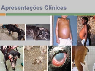 Apresentações Clínicas
 