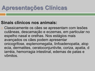 Sinais clínicos nos animais:
 Classicamente os cães se apresentam com lesões
cutâneas, descamação e eczemas, em particular no
espelho nasal e orelhas. Nos estágios mais
avançados os cães podem apresentar
onicogrifose, esplenomegalia, linfoadenopatia, alop
ecia, dermatites, ceratoconjuntivite, coriza, apatia, d
iarréia, hemorragia intestinal, edemas de patas e
vômitos.
Apresentações Clínicas
 