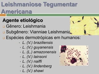 Agente etiológico
 Gênero: Leishmania
 Subgênero: Vianniae Leishmania
 Espécies dermotrópicas em humanos:
• L. (V.) braziliensis
• L. (V.) guyanensis
• L. (L.) amazonensis
• L. (V.) lainsoni
• L. (V.) naiffi
• L. (V.) lindenberg
• L. (V.) shawi
Leishmaniose Tegumentar
Americana
 