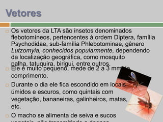  Os vetores da LTA são insetos denominados
flebotomíneos, pertencentes à ordem Diptera, família
Psychodidae, sub-família Phlebotominae, gênero
Lutzomyia, conhecidos popularmente, dependendo
da localização geográfica, como mosquito
palha, tatuquira, birigui, entre outros.
Vetores
 Ele é muito pequeno, mede de 2 a 3 mm de
comprimento.
 Durante o dia ele fica escondido em locais
úmidos e escuros, como quintais com
vegetação, bananeiras, galinheiros, matas,
etc.
 O macho se alimenta de seiva e sucos
 