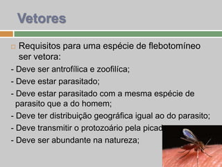  Requisitos para uma espécie de flebotomíneo
ser vetora:
- Deve ser antrofílica e zoofilíca;
- Deve estar parasitado;
- Deve estar parasitado com a mesma espécie de
parasito que a do homem;
- Deve ter distribuição geográfica igual ao do parasito;
- Deve transmitir o protozoário pela picada;
- Deve ser abundante na natureza;
Vetores
 