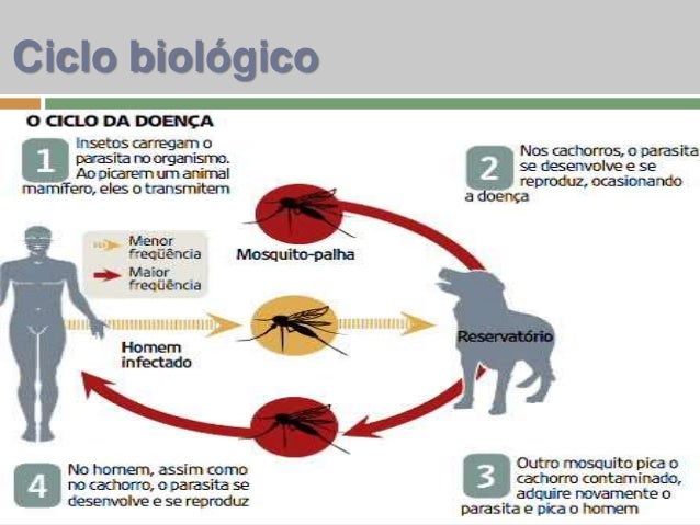 Ação Direta - Entre A Bencao E O Caos Ação Direta - Entre A Bencao E O Caos