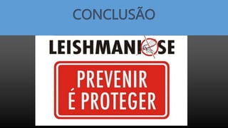 CONCLUSÃO
 