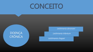 CONCEITO
DOENÇA
CRÔNICA
Leishmania donovani
Leishmania infantum
Leishmania chagasi
 