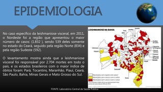 EPIDEMIOLOGIA
FONTE: Laboratório Central de Saúde Pública
No caso específico da leishmaniose visceral, em 2011,
o Nordeste foi a região que apresentou o maior
número de casos: (1.832 ), sendo 539 deles somente
no estado do Ceará, seguido pela região Norte (834) e
pela região Sudeste (592).
O levantamento mostra ainda que a leishmaniose
visceral foi responsável por 2.704 mortes em todo o
país, e os estados brasileiros com o maior índice de
óbitos foram: Pará, Tocantins, Maranhão, Piauí, Ceará,
São Paulo, Bahia, Minas Gerais e Mato Grosso do Sul.
 