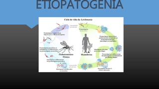 ETIOPATOGENIA
 