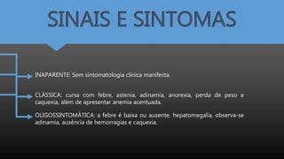 SINAIS E SINTOMAS
INAPARENTE: Sem sintomatologia clínica manifesta.
CLÁSSICA: cursa com febre, astenia, adinamia, anorexia, perda de peso e
caquexia, além de apresentar anemia acentuada.
OLIGOSSINTOMÁTICA: a febre é baixa ou ausente, hepatomegalia, observa-se
adinamia, ausência de hemorragias e caquexia.
 