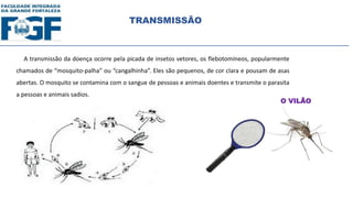 A transmissão da doença ocorre pela picada de insetos vetores, os flebotomíneos, popularmente
chamados de “mosquito-palha” ou “cangalhinha”. Eles são pequenos, de cor clara e pousam de asas
abertas. O mosquito se contamina com o sangue de pessoas e animais doentes e transmite o parasita
a pessoas e animais sadios.
TRANSMISSÃO
O VILÃO
 