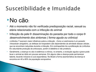 No           cão:
   Até o momento não foi verificada predisposição racial, sexual ou
    etária relacionada com a infecção do animal
   Infecção da pele disseminação do parasita por todo o corpo
    desenvolvimento dos sintomas ( forma aguda ou crônica)
   Linfócitos T exercem maior influência sobre a infecção . Como a Leishmania é um parasito
    intracelular obrigatório, as defesas do hospedeiro são dependentes da atividade dessas células ,
    que se encontram reduzidas durante a infecção. Em contrapartida há a proliferação de Linfócitos
    B e abundante produção de anticorpos, porém é deletéria e não protetora.
   Geralmente, a doença no cão é sistêmica e crônica, no entanto, a evolução aguda e grave pode
    levar o animal ao óbito em poucas semanas. Em alguns cães a doença pode permanecer
    latente, levando inclusive à cura espontânea. No Brasil a forma assintomática da doença é
    encontra em 40 a 60% da população soropositiva.
 