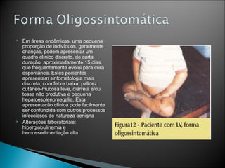    Em áreas endêmicas, uma pequena
    proporção de indivíduos, geralmente
    crianças, podem apresentar um
    quadro clínico discreto, de curta
    duração, aproximadamente 15 dias,
    que frequentemente evolui para cura
    espontânea. Estes pacientes
    apresentam sintomatologia mais
    discreta, com febre baixa, palidez
    cutâneo-mucosa leve, diarréia e/ou
    tosse não produtiva e pequena
    hepatoesplenomegalia. Esta
    apresentação clínica pode facilmente
    ser confundida com outros processos
    infecciosos de natureza benigna
   Alterações laboratoriais:
    hiperglobulinemia e
    hemossedimentação alta
 