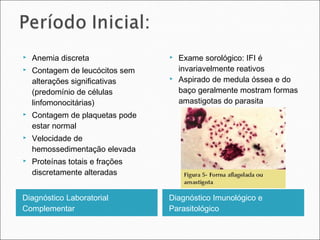    Anemia discreta                 Exame sorológico: IFI é
   Contagem de leucócitos sem       invariavelmente reativos
    alterações significativas       Aspirado de medula óssea e do
    (predomínio de células           baço geralmente mostram formas
    linfomonocitárias)               amastigotas do parasita
   Contagem de plaquetas pode
    estar normal
   Velocidade de
    hemossedimentação elevada
   Proteínas totais e frações
    discretamente alteradas


Diagnóstico Laboratorial         Diagnóstico Imunológico e
Complementar                     Parasitológico
 